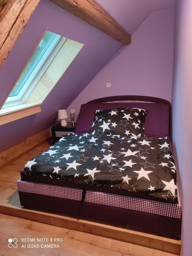 Apartman Sumava U Rybaku Volenice  Екстериор снимка